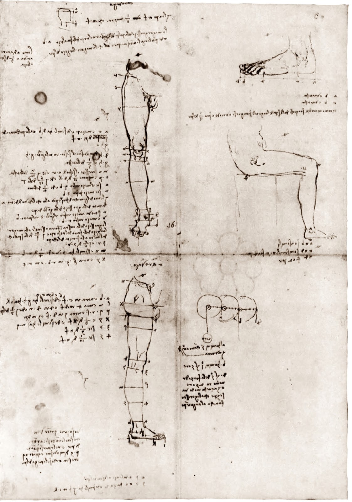 Leonardo+da+Vinci-1452-1519 (820).jpg